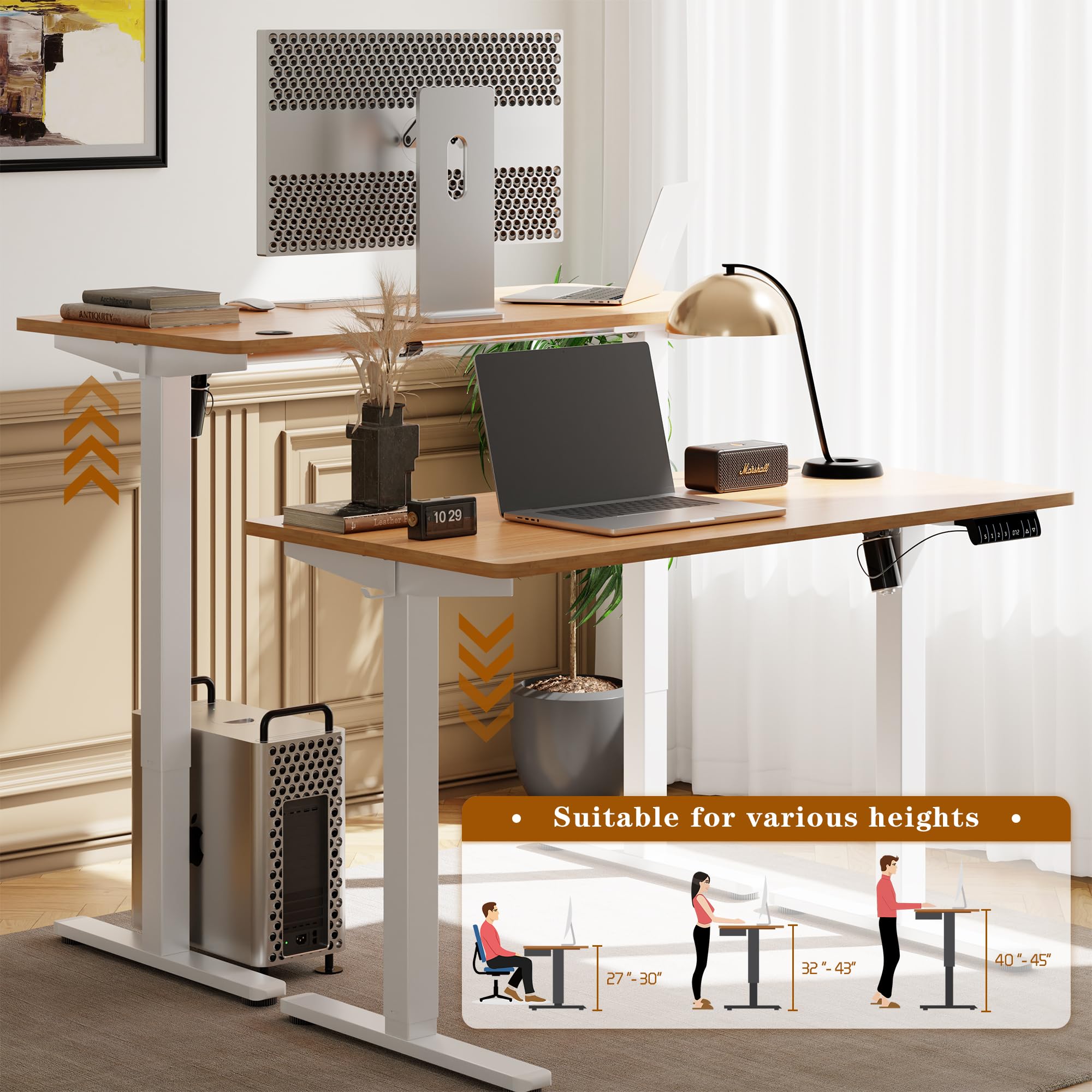 Shintenchi Electric Height Adjustable Standing Desk