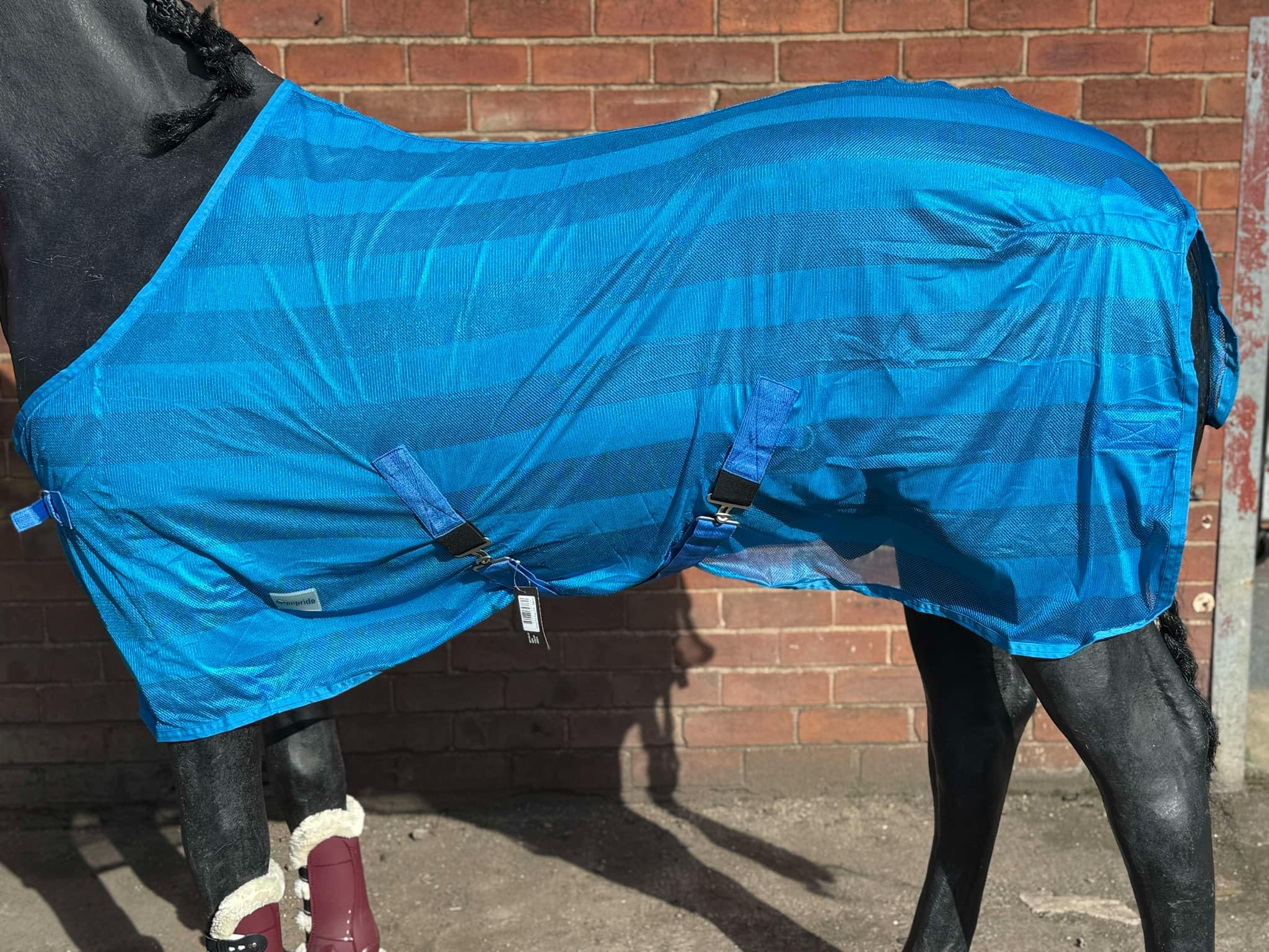 HORSE FLY RUG FLY SHEET FOR HORSE PONY SHETLAND BLUE 5'0" to 7'0" (7'0")