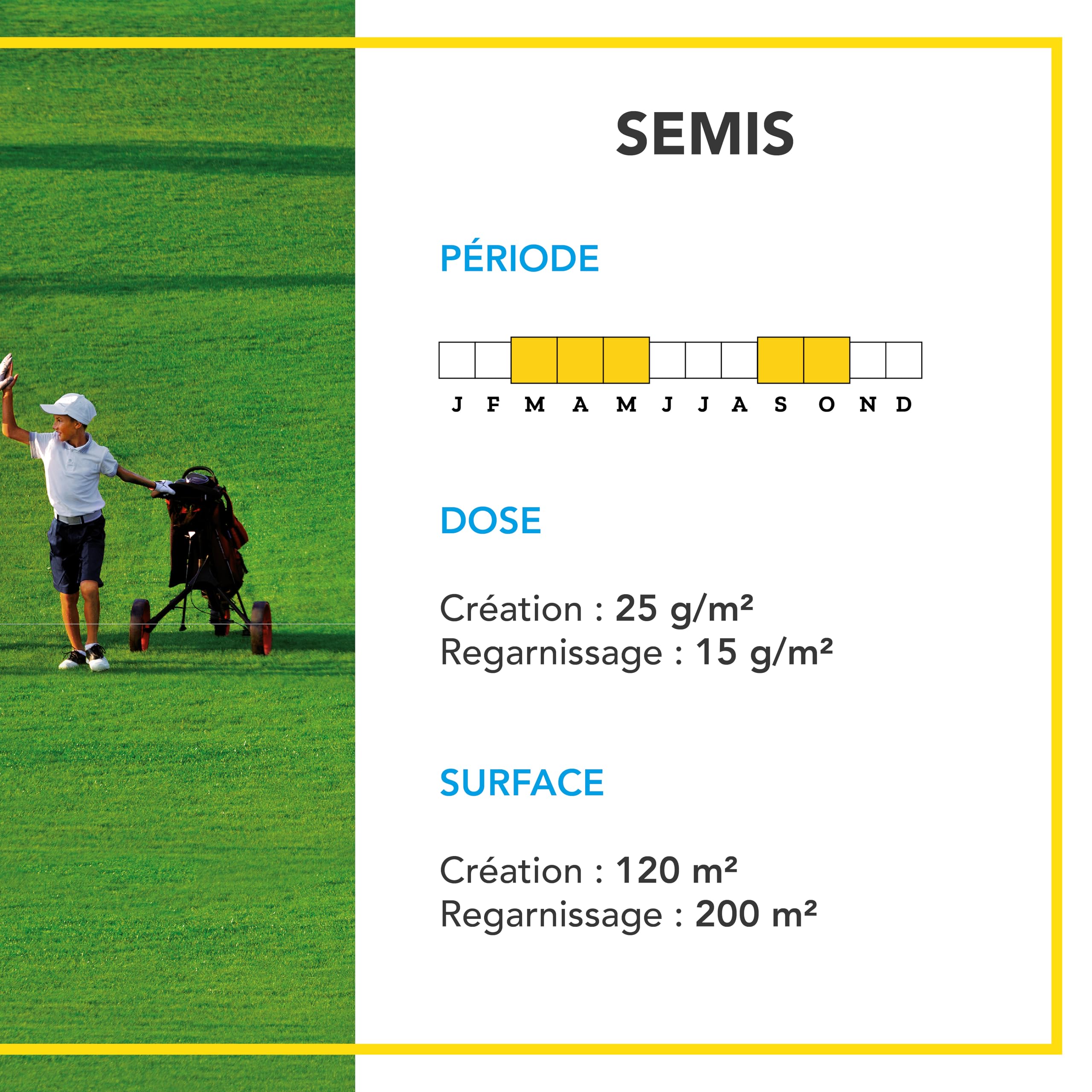 BARENBRUG - Gazon Ligue Pro et Golf - pour Terrains de Compétition - Esthétisme, Performance - Fin, Dense, Solide - Variétés Autorégénérantes Limitant Plantes Indésirables - Fabriqué en France - 3KG