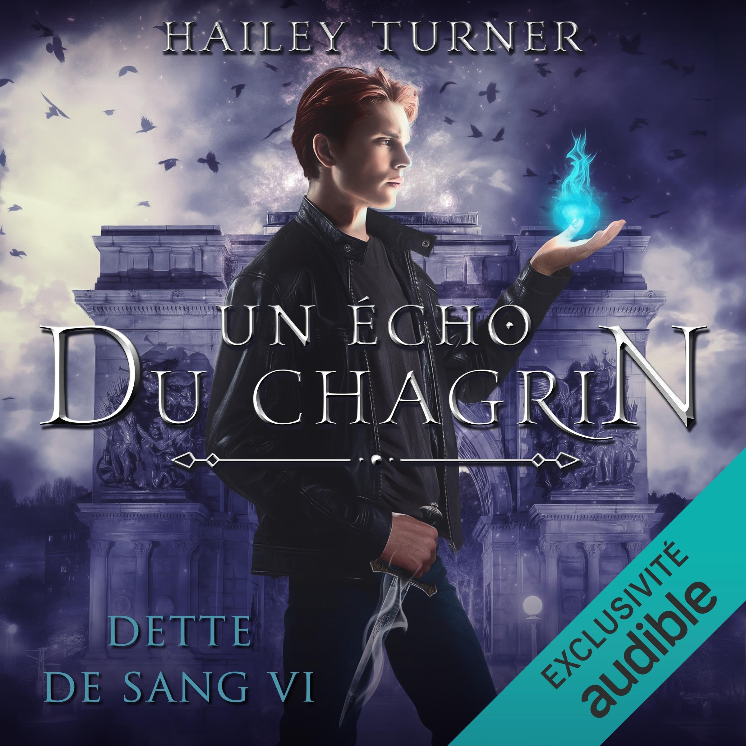 Cover art for Un écho du chagrin