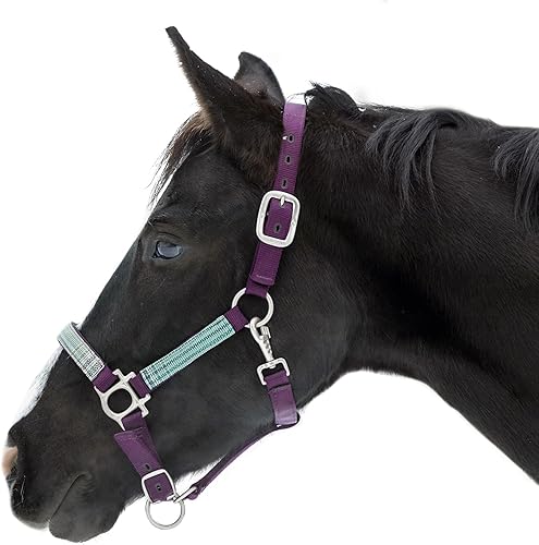 Kensington Premium Nylon Halter Tamaño: XL-Lrg. Color del caballo: 2019 - Imperial Jade