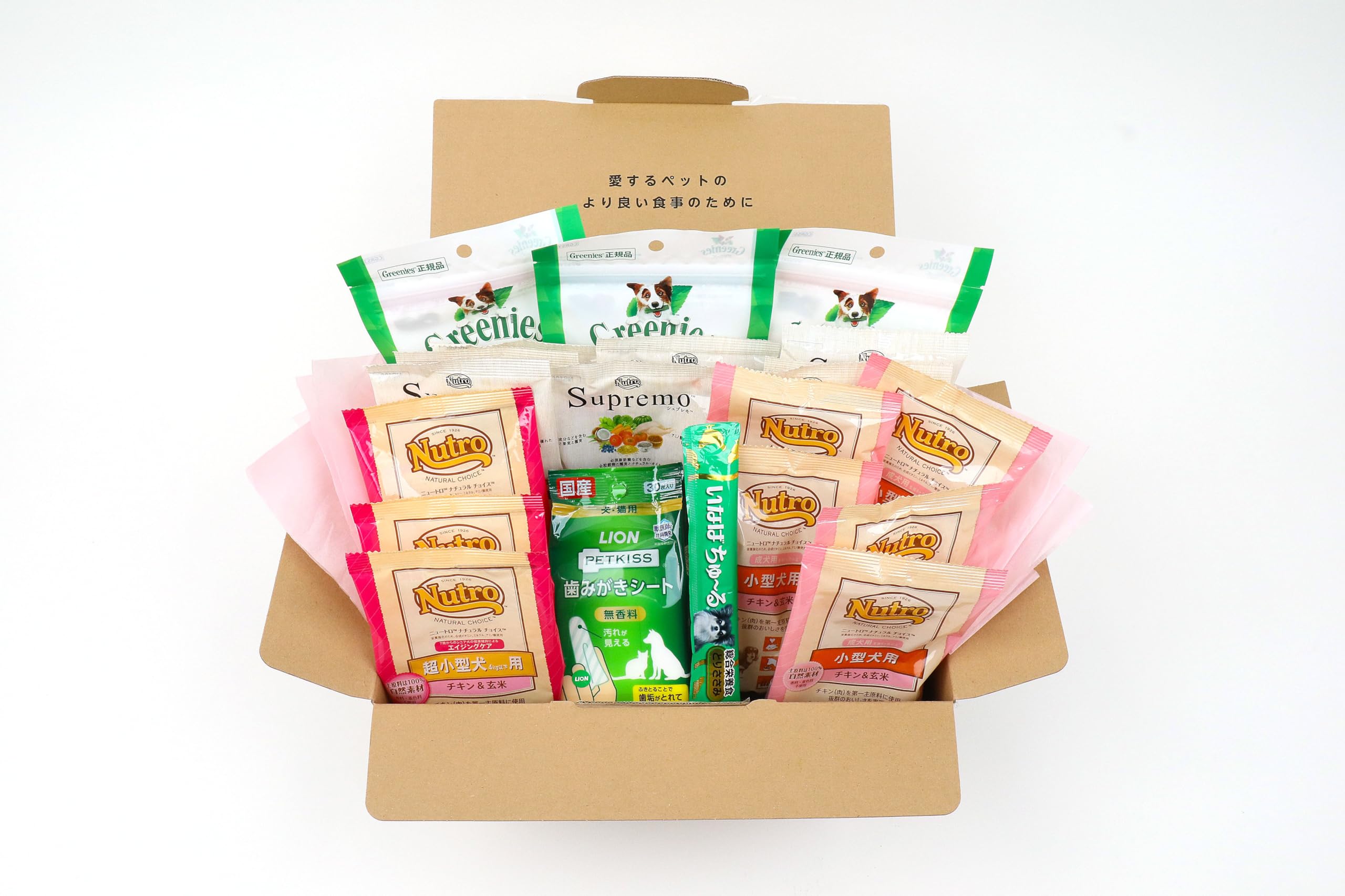 Amazon.co.jp: ペットプロフィール Welcome Box ワンちゃん用 : ペット用品