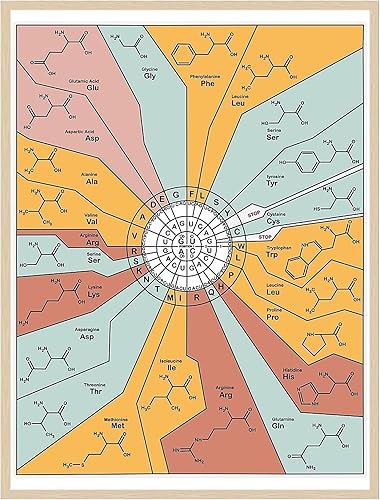 Miniatura 2 de Genetic Code Diagram Poster Science Wall Art Print Aesthetic For Education School Classroom Room Office Home Decor - Unframed