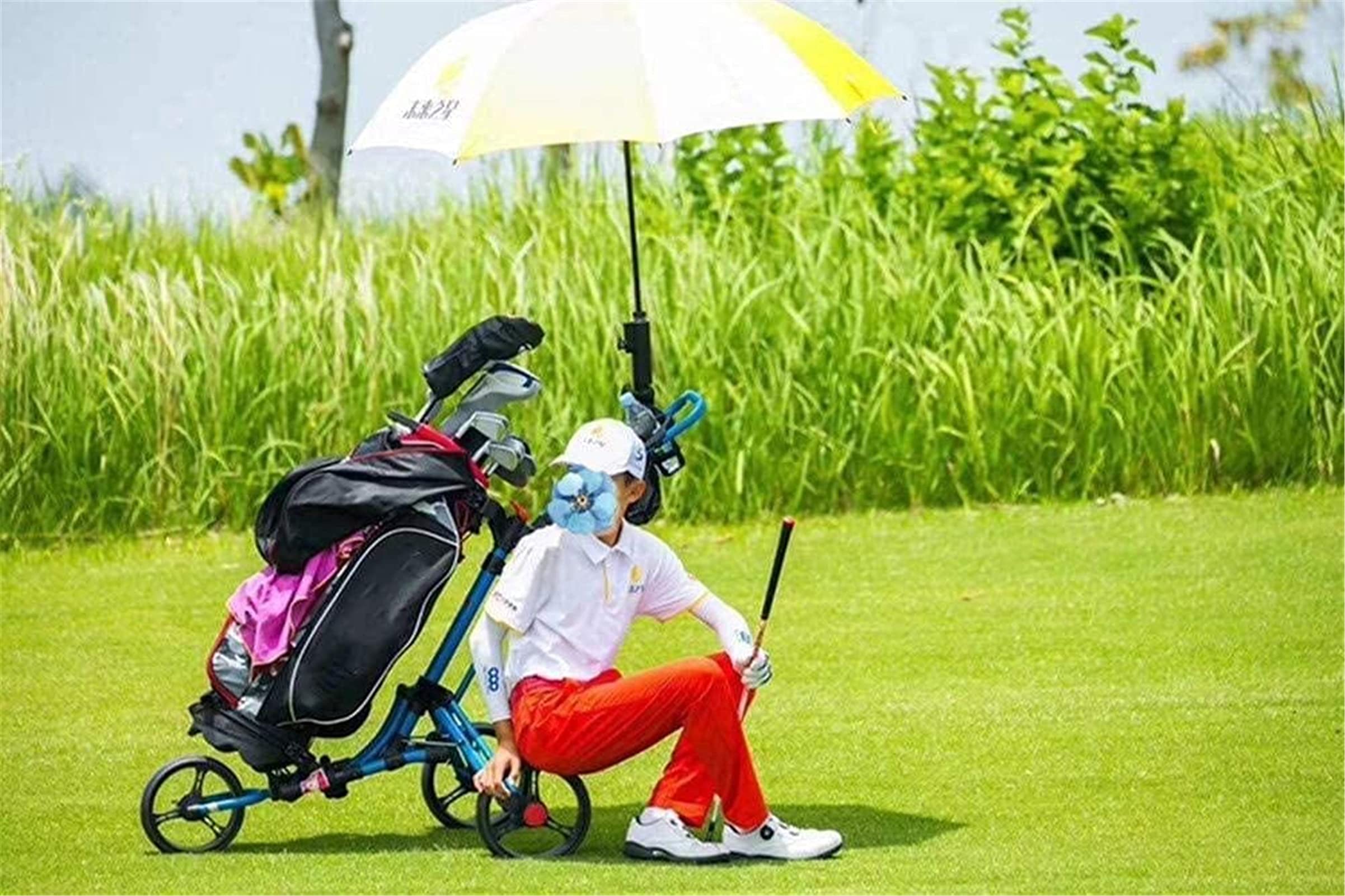 Carrito de Golf Carrito de Golf de 3 Ruedas Carrito de Golf de Empuje y tracción de 3 Ruedas, Carrito de Carrito de Empuje Plegable Cerrado con Soporte de Paraguas Marcador de Asie