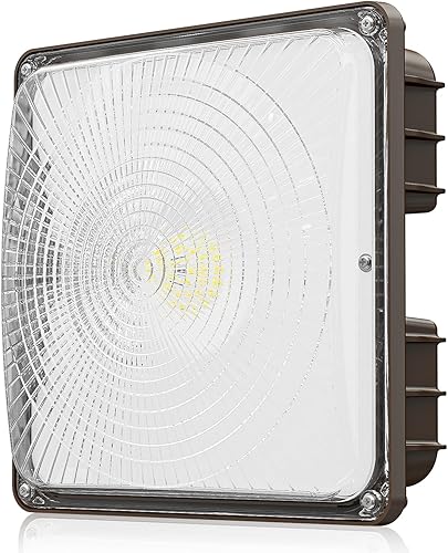 Cinoton Luz LED de toldo de 40 W, 5600 lúmenes (reemplazo HID de 160 W), luz diurna impermeable de 5000 K para garaje, tienda, AC100-277 V,