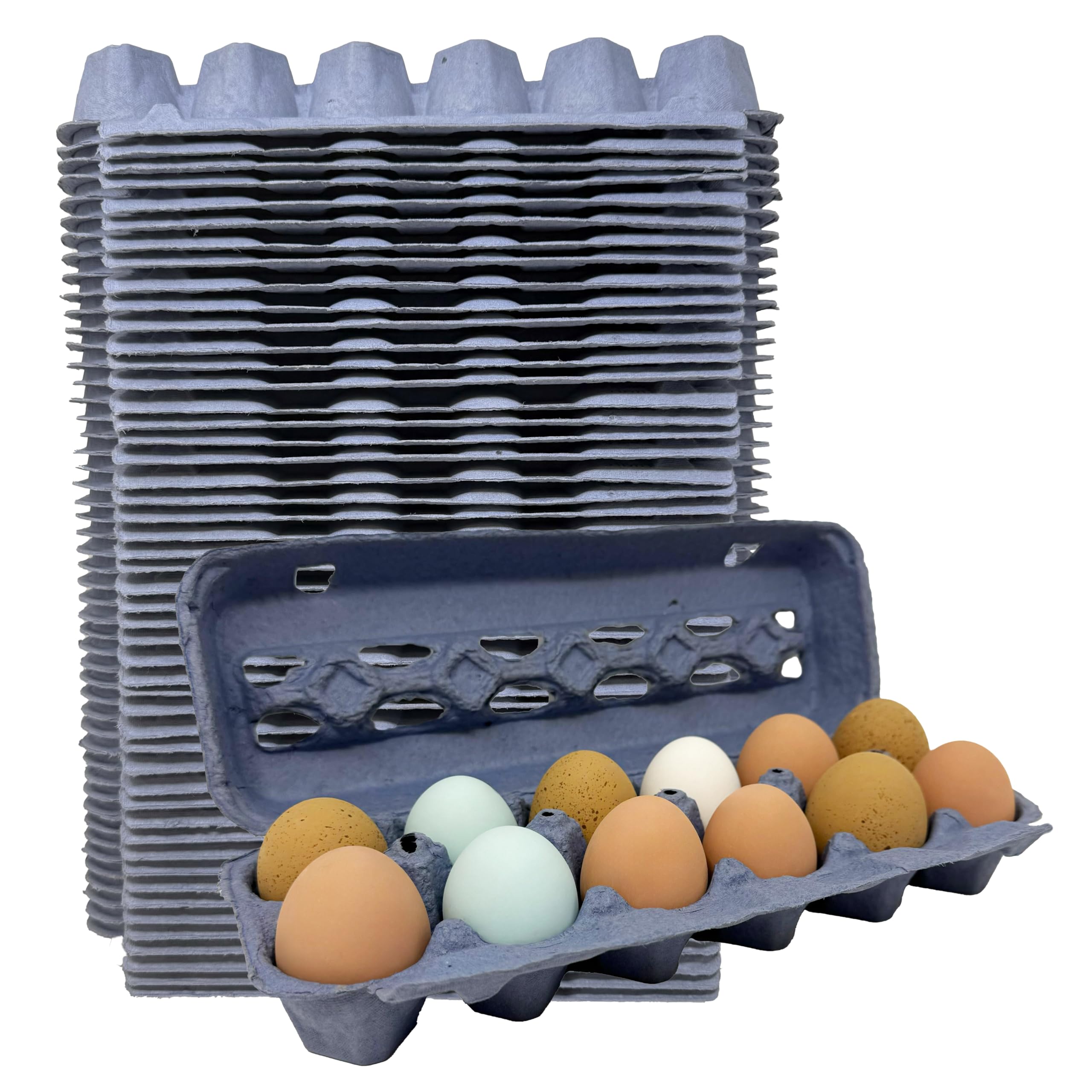 Cajas de huevos de pulpa de papel azul, paquete de 50