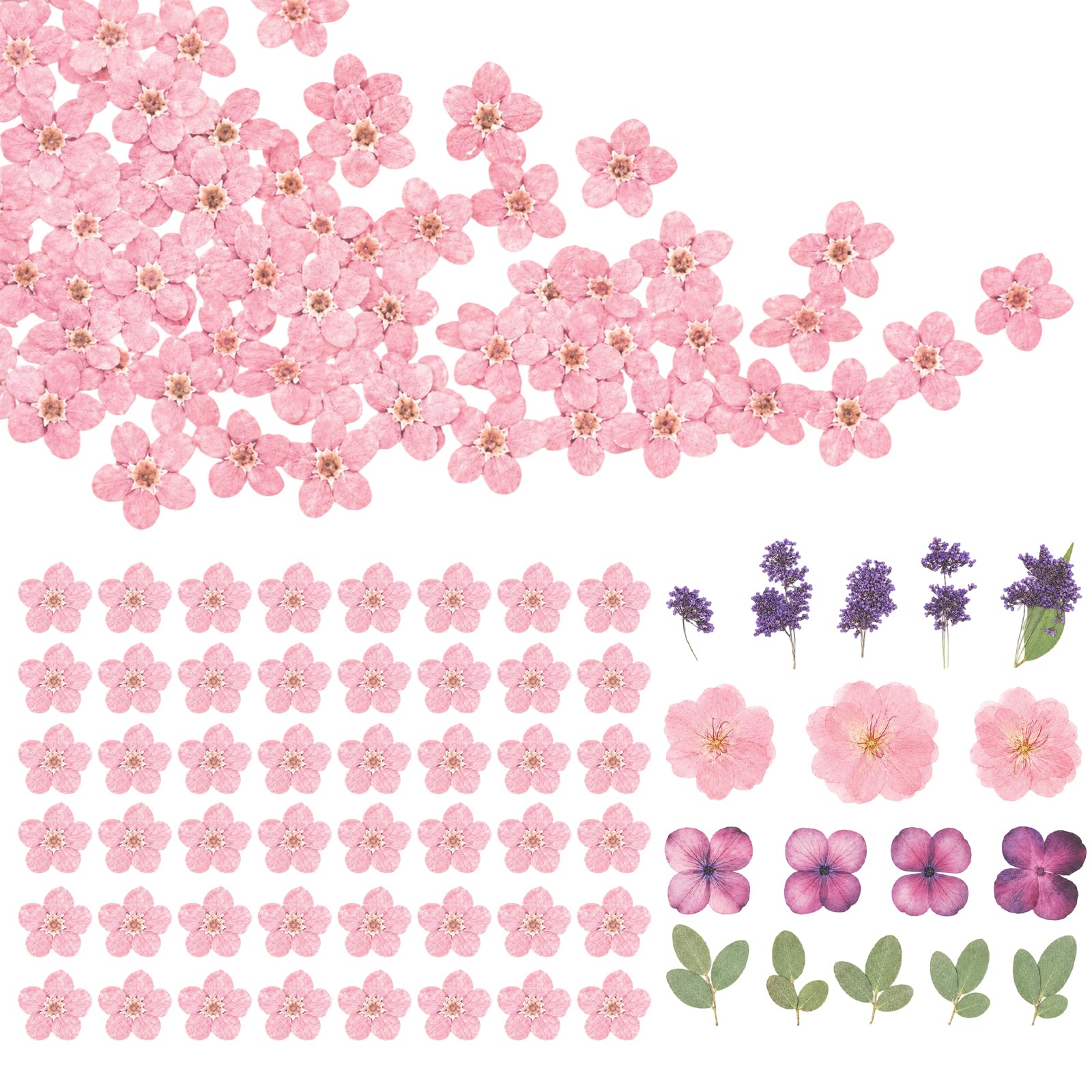 72 Pcs Pressed Flowers, Dried Flowers, Dry Flowers With Lavender Smoke And Pink Floral Designs, For Scrapbooking And Card Making, Handcrafted Decorative Kit With Durable Materials