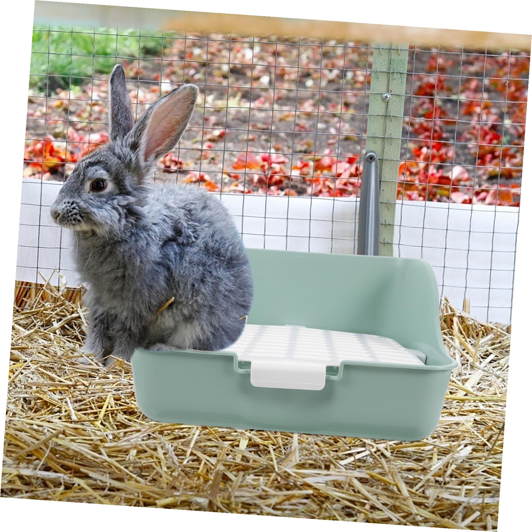 Kaninchentoilette Eckschale aus Abs mit Antispritz Design und Komfortabler Umgebung Große Meerschweinchen Töpfchen für Kaninchen und Zwergkaninchen in Hellem Grün