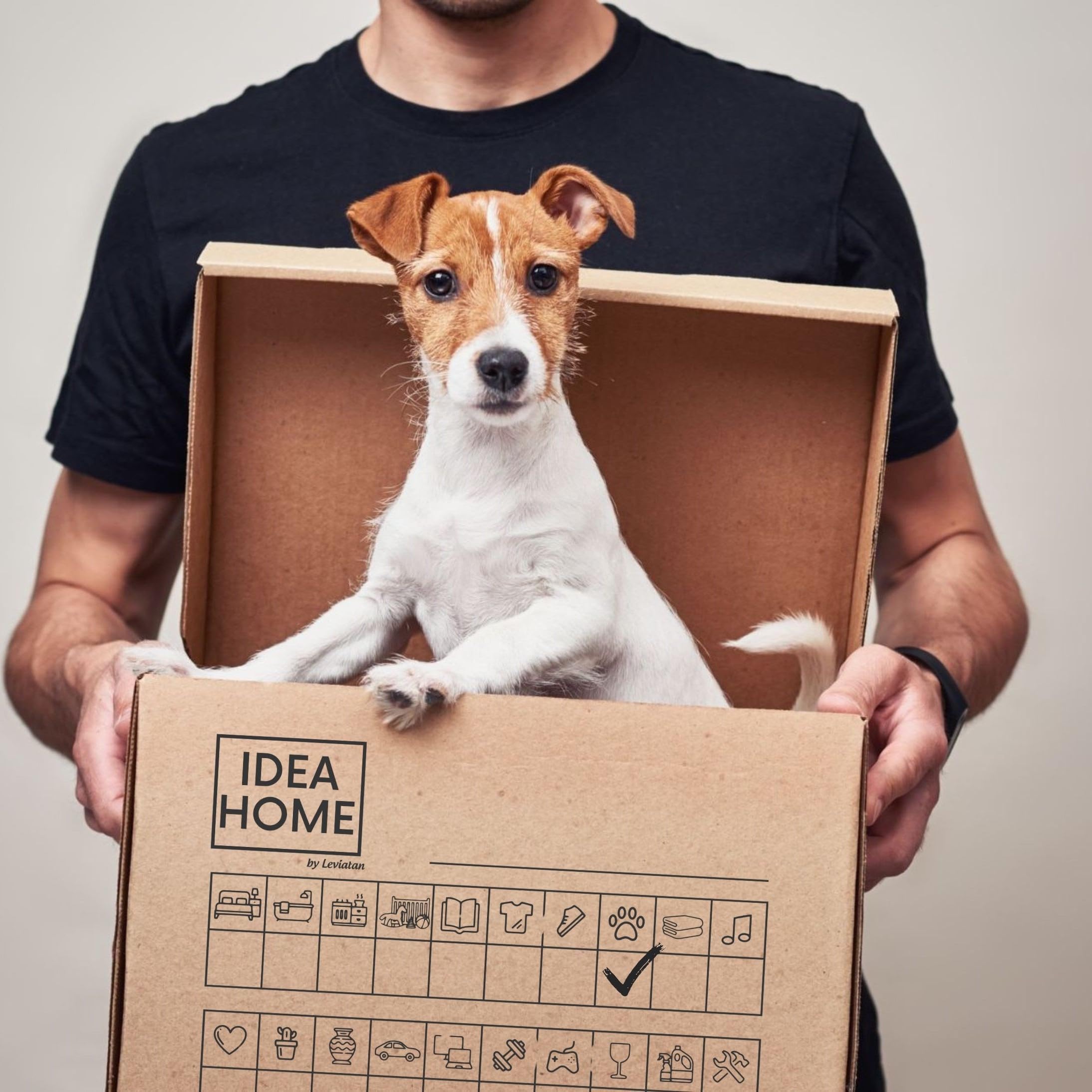 IDEA HOME MOOVE Lot de 6 Cartons de Déménagement Renforcés 30 kg 5 Couches 420 g/m²