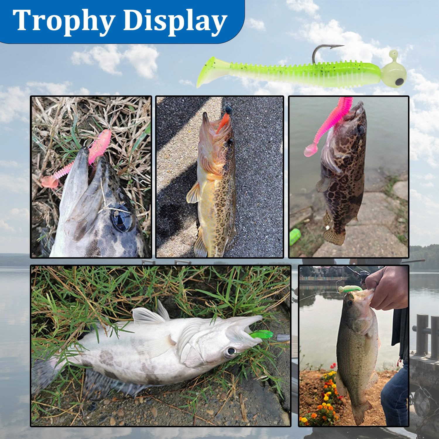 45 esche in plastica morbida, esche da nuoto a coda di pagaia, esche da nuoto per pesca alla spigola, coda da pagaia, esche Crappie - 9 colori e 6,5 cm