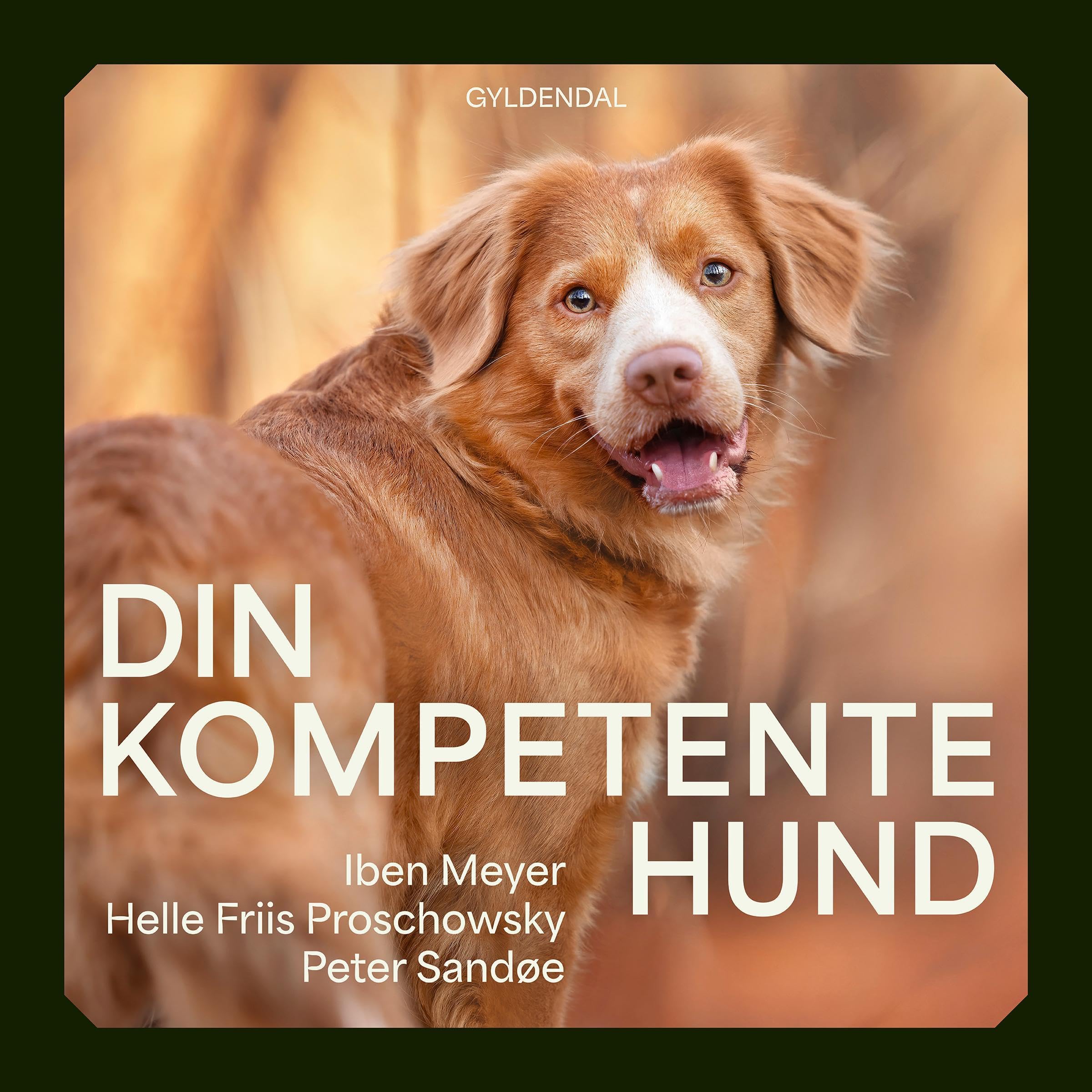 Din kompetente hund