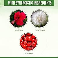 Vista 5 de Cápsulas de D-manosa 100% pura de 1000 mg con extracto de arándano, hibisco y diente de león, fórmula profesional de prevención de infecciones