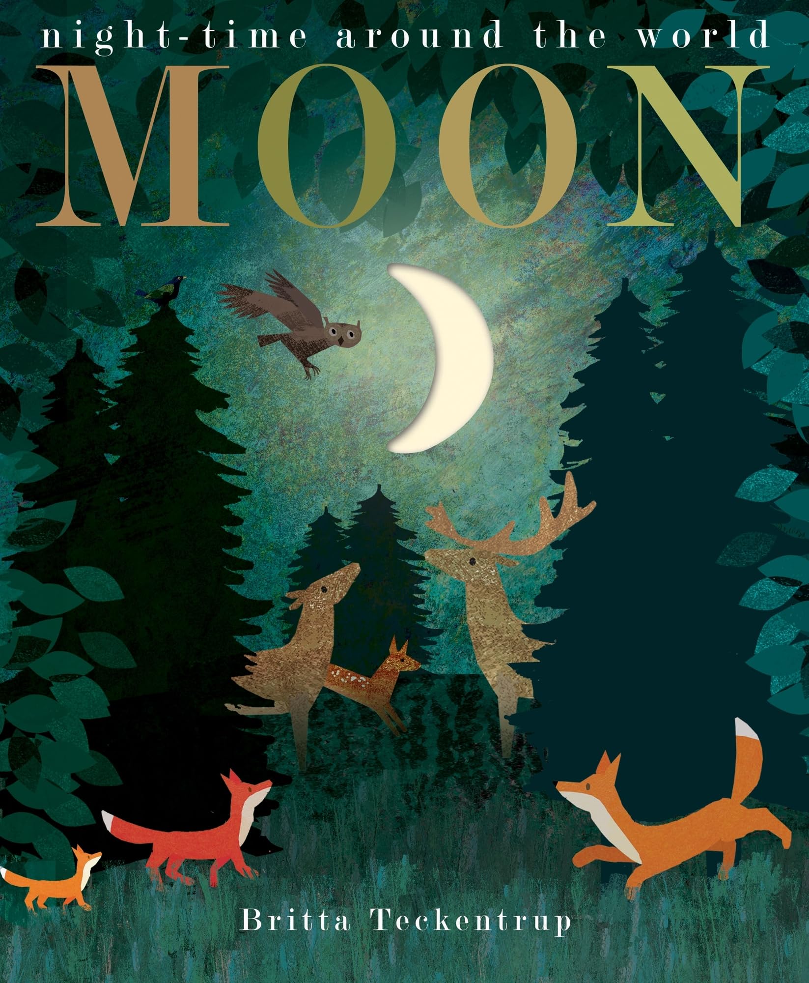 Moon : night-time around the world