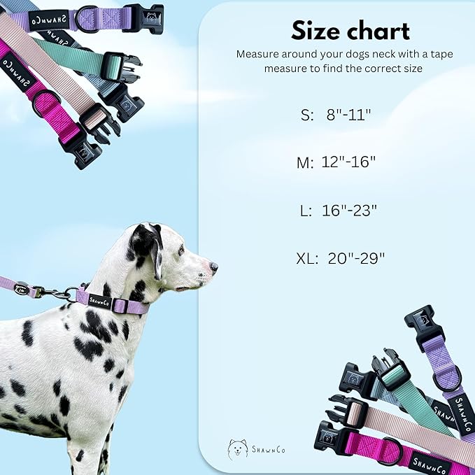 Collar ShawnCo Dream Walk para perro - Ajustable y cómodo (S, Seafoam) miniatura 3