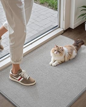 Color&Geometry Indoor Door Mat 17"x30", Soft Entryway Rugs Non Slip Front Door Mat Indoor Washable Low-Profile Inside Doormat Entry Mat Hallway Entrance, GreyRolled-up NO Creases
