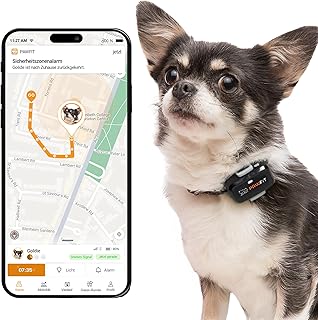 Pawfit Lite GPS-Tracker mit 4G für kleine Hunde | Tracking in Echtzeit | Aktivitätsüberwachung |Standortverlauf | Unbegrenzte Reichweite | Weiß