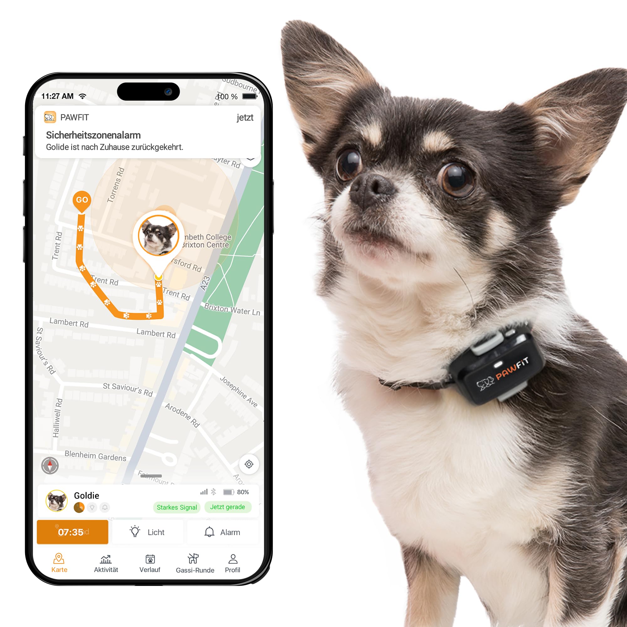 Pawfit Lite GPS-Tracker mit 4G für kleine Hunde | Tracking in Echtzeit | Aktivitätsüberwachung |Standortverlauf | Unbegrenzte Reichweite | Weiß