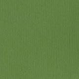 Bazzill Fourz Cardstock 12