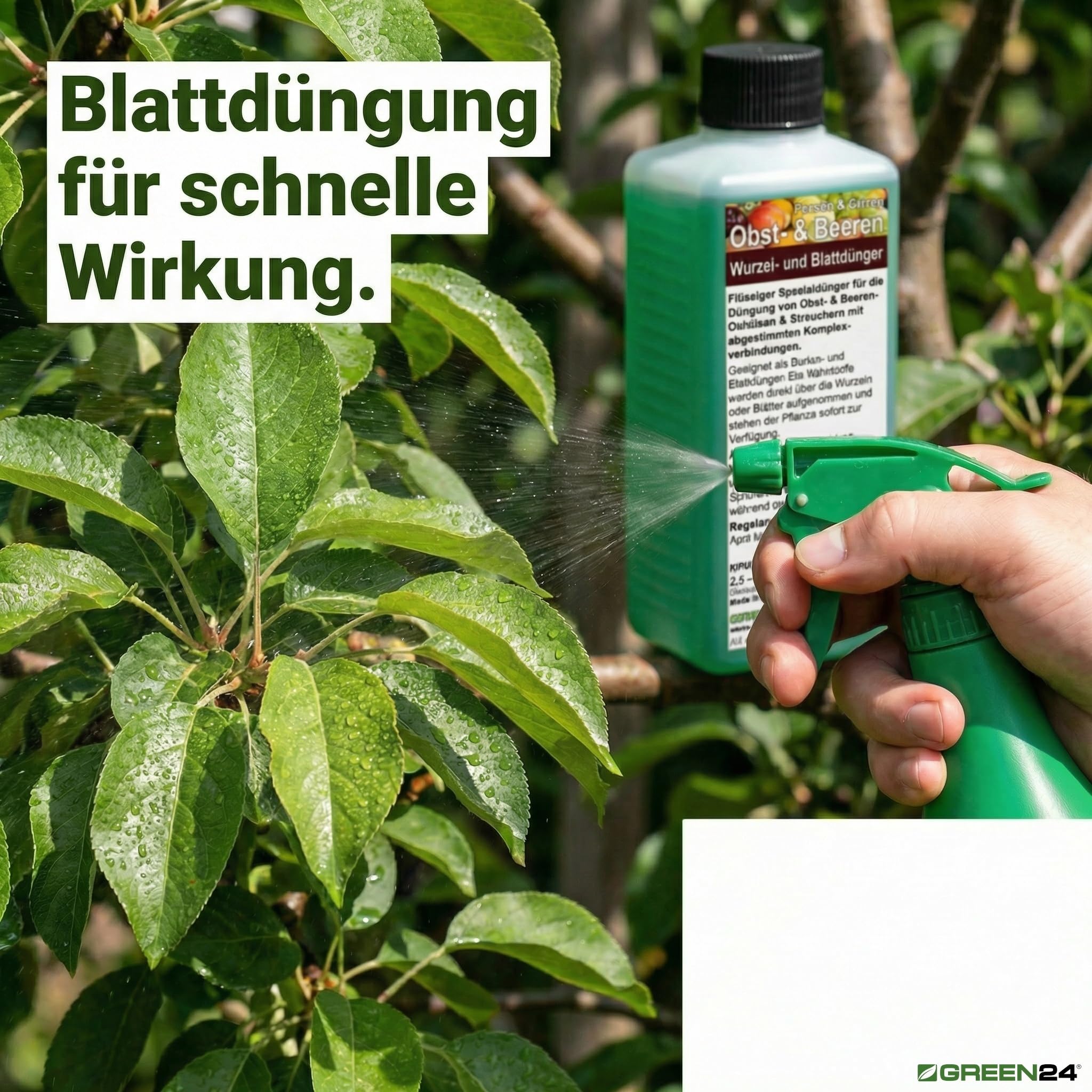 freilandgurken düngen Gurken Dünger Langzeitwirkung main image 1