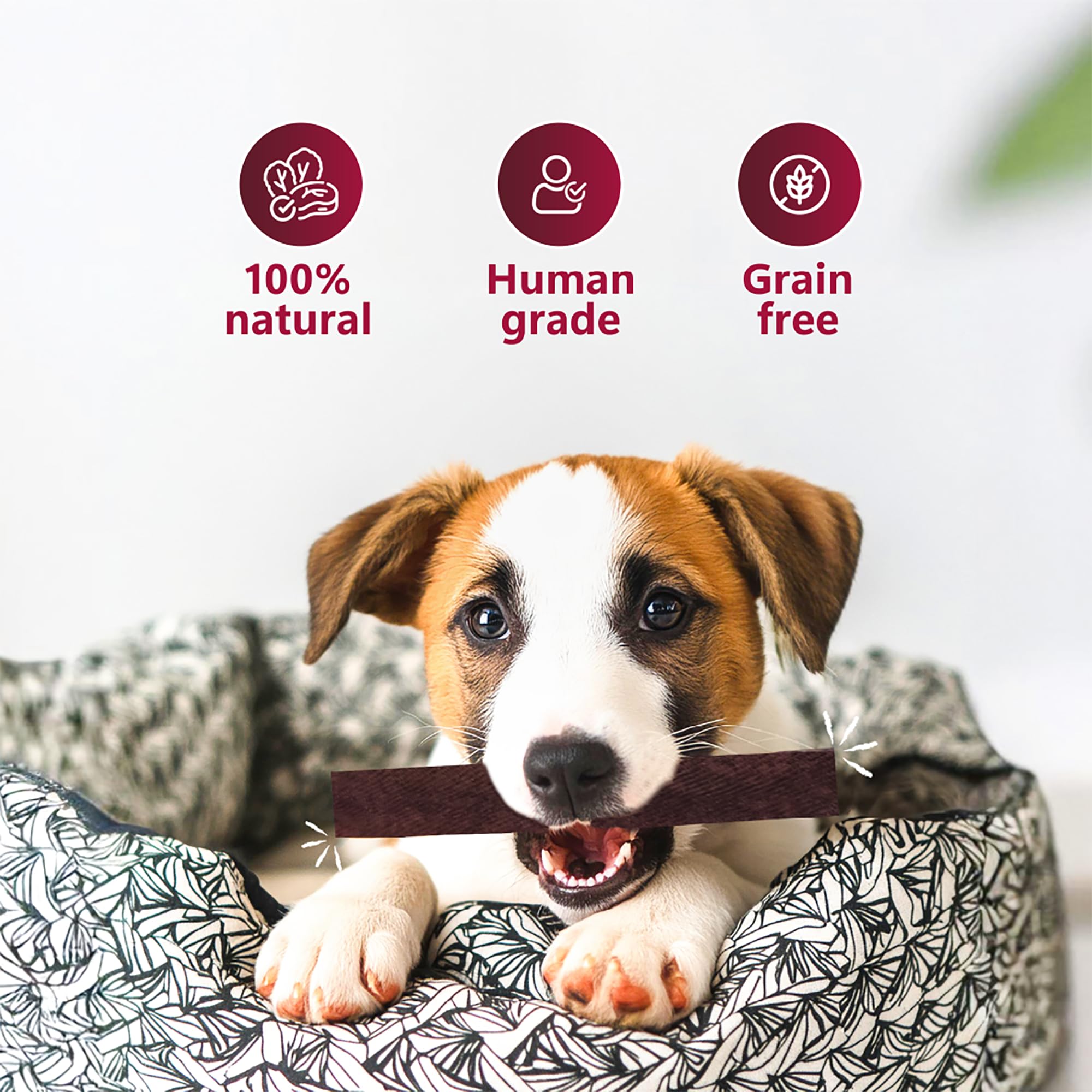 Pawfect Dentamust Himalayan Yak Cheese Chew with Cranberry & Pomegranate for Large Dogs-Long Lasting Dental Chews with Superfoods- 100% Natural - Image 4