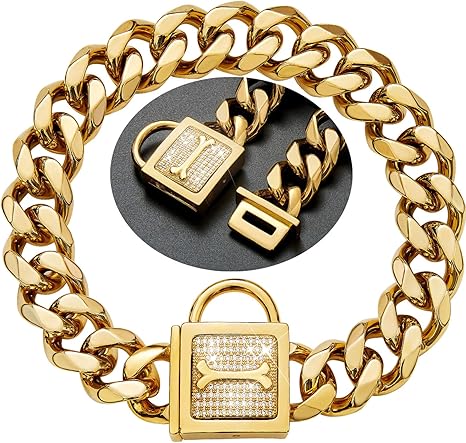 rottweiler gold chain