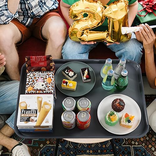 Miniatura 5 de Paquete de 6 bandejas grandes de plástico para servir, bandeja de plástico de 25.28 x 17.06 pulgadas, bandeja de alimentación de animales o bandeja