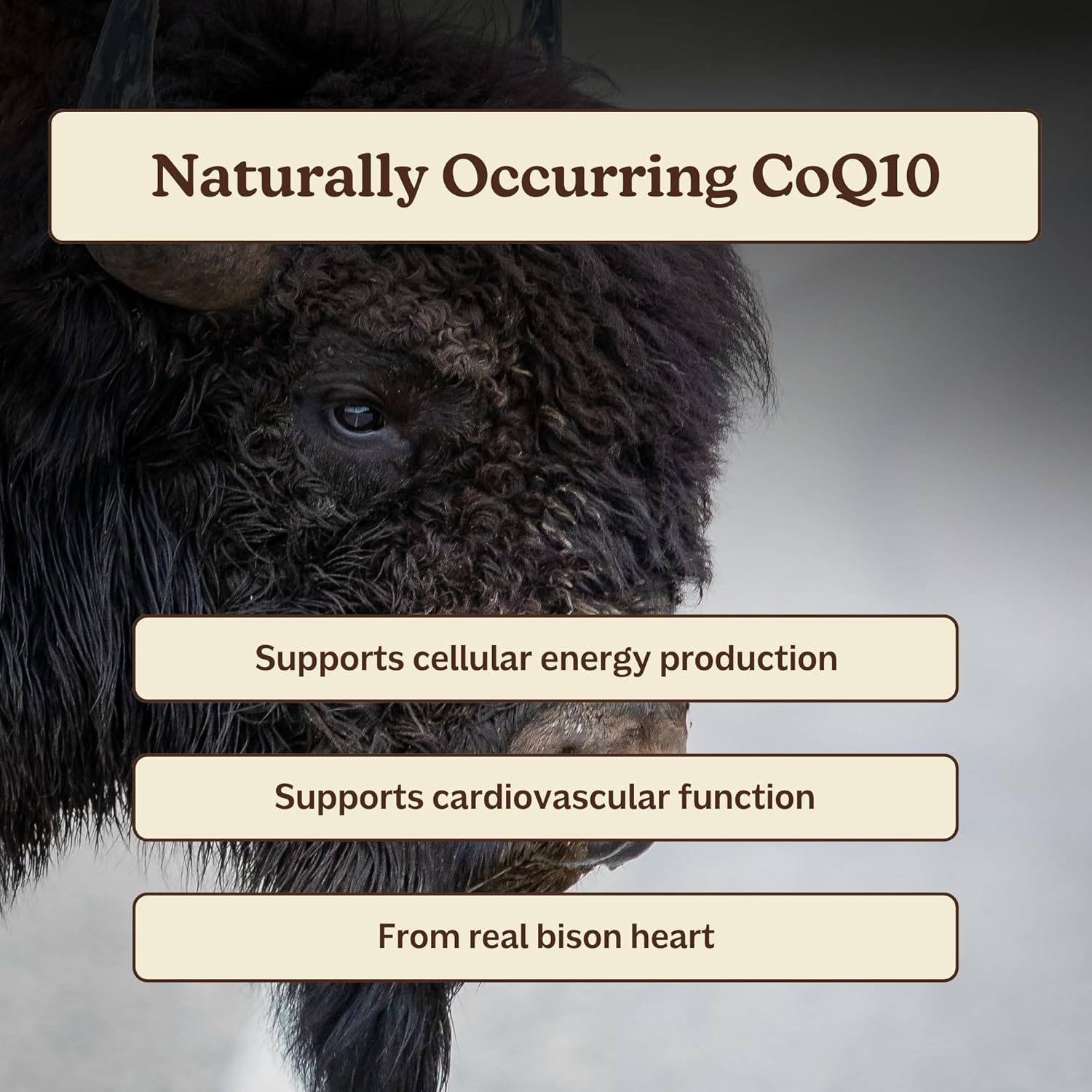 MK Supplements Ironclad – Grass Fed Beef Spleen & Bison Heart Capsules – Whole Food Heme Iron & CoQ10 – Desiccated Organ Supplement - Image 5