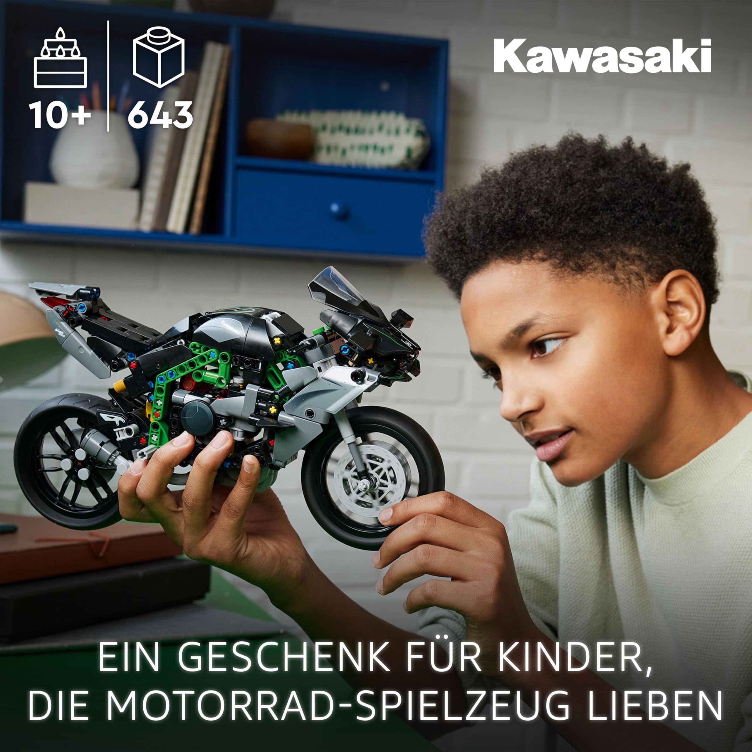 LEGO Technic Kawasaki Ninja H2R Motorrad, Geschenk für Kinder & Erwachsene zum Geburtstag, Dekoration, Spielzeug, Modell für Jungen und Mädchen ab 10 Jahren 42170