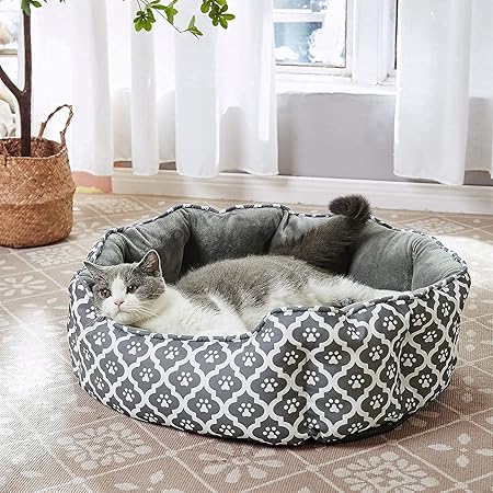 cat bed for two