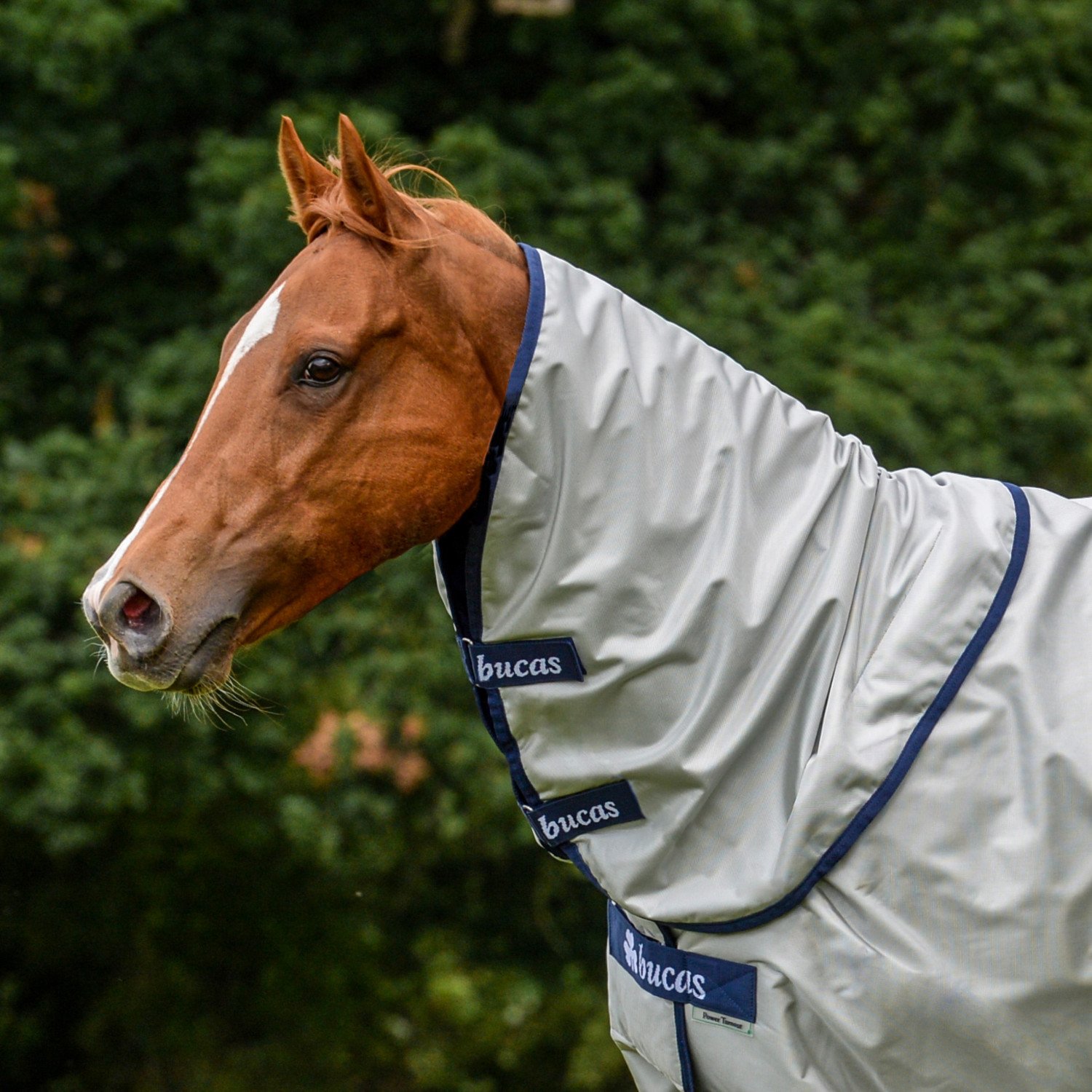 Bucas Power Combi Neck Cover