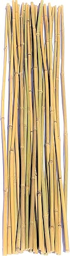 Miniatura 10 de Dlh Western Postes de bambú natural, estacas de jardín ecológicas de 4 pies de largo, diámetro de 38 pulgadas (25 unidades)