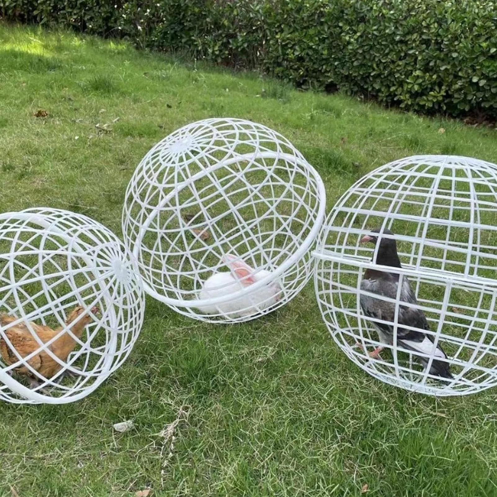 Runder Tierkäfig - Plastik Hühnerball Freilaufgehege, 20-50cm Größen, Kaninchen, Küken, Tauben & Kleintiere, Mobiler Gartenkäfig Für Außenbereich, Sicher Leicht Zu Reinigen