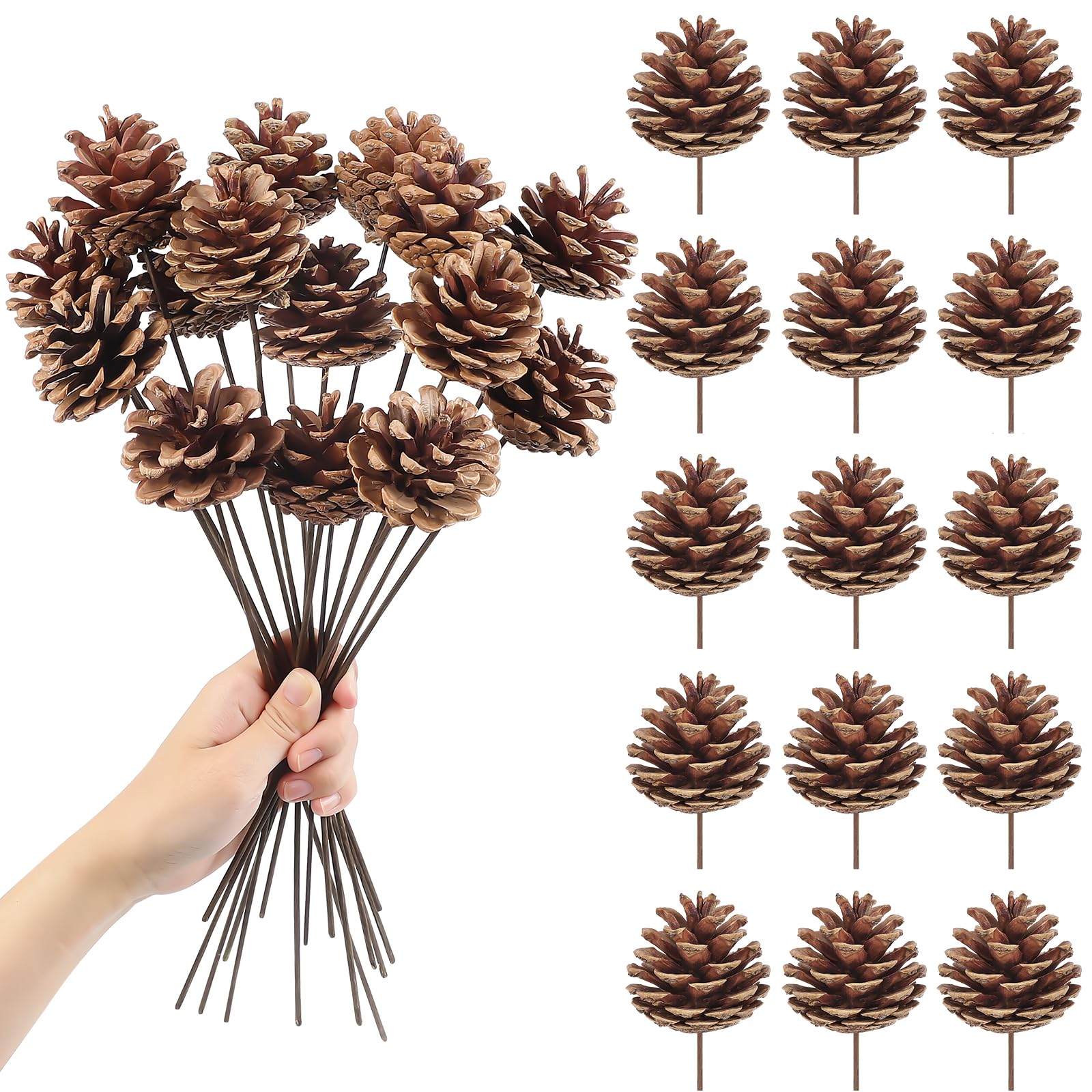 Larber 15pcs Natural Pine Cones Decoration 30CM Pine Cones Ornaments with Stem Pinecone Picks for Christmas Tree Ornament Vase Party Holiday DIY Craft Home Decoration