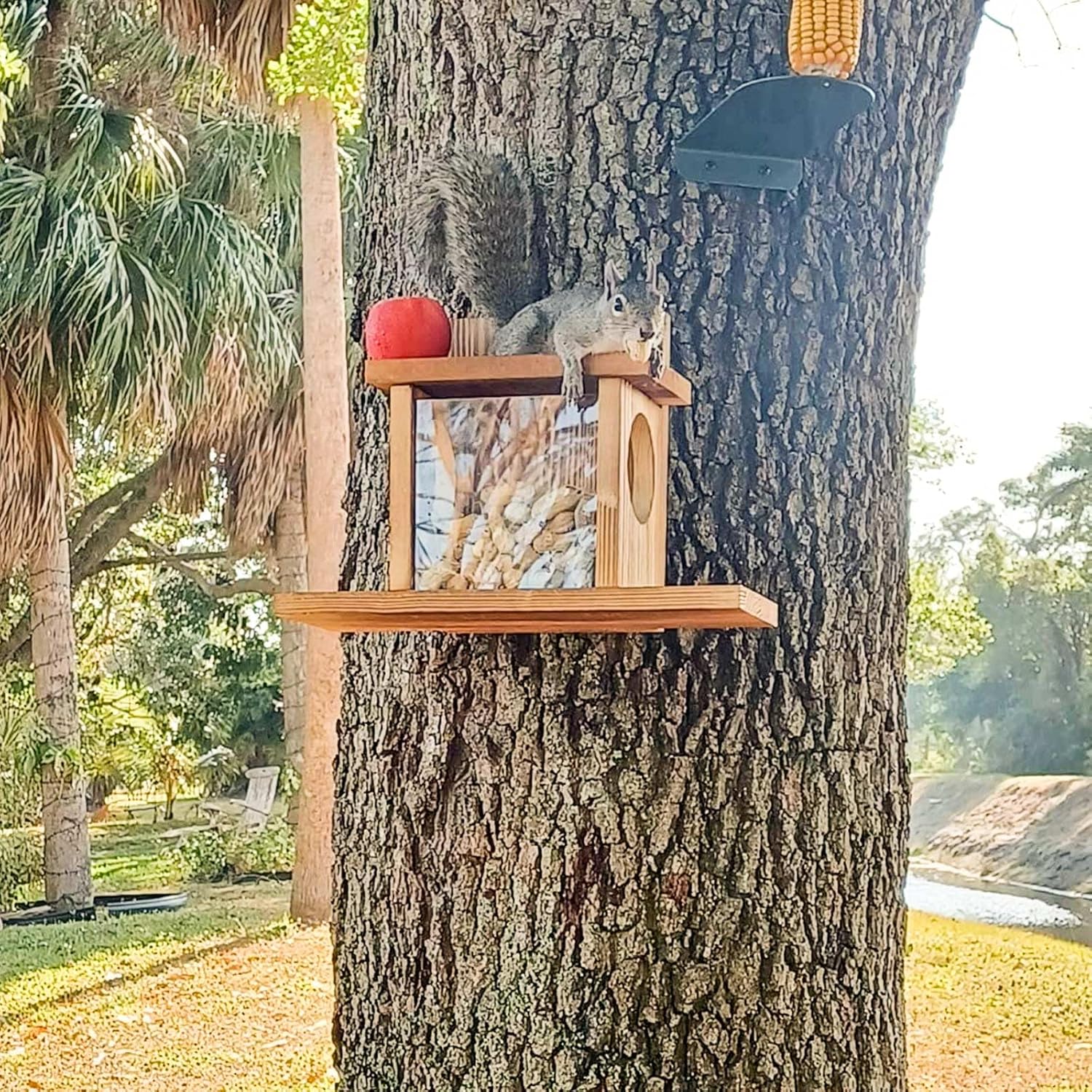 Carbonized Wooden Squirrel Feeder for Outside, Wood Squirrel Feeding Table, Sturdy Squirrel Feeding House with Thickness 1.5CM Wood, Top Lid Opens for Easy Filling of Peanuts and Corn