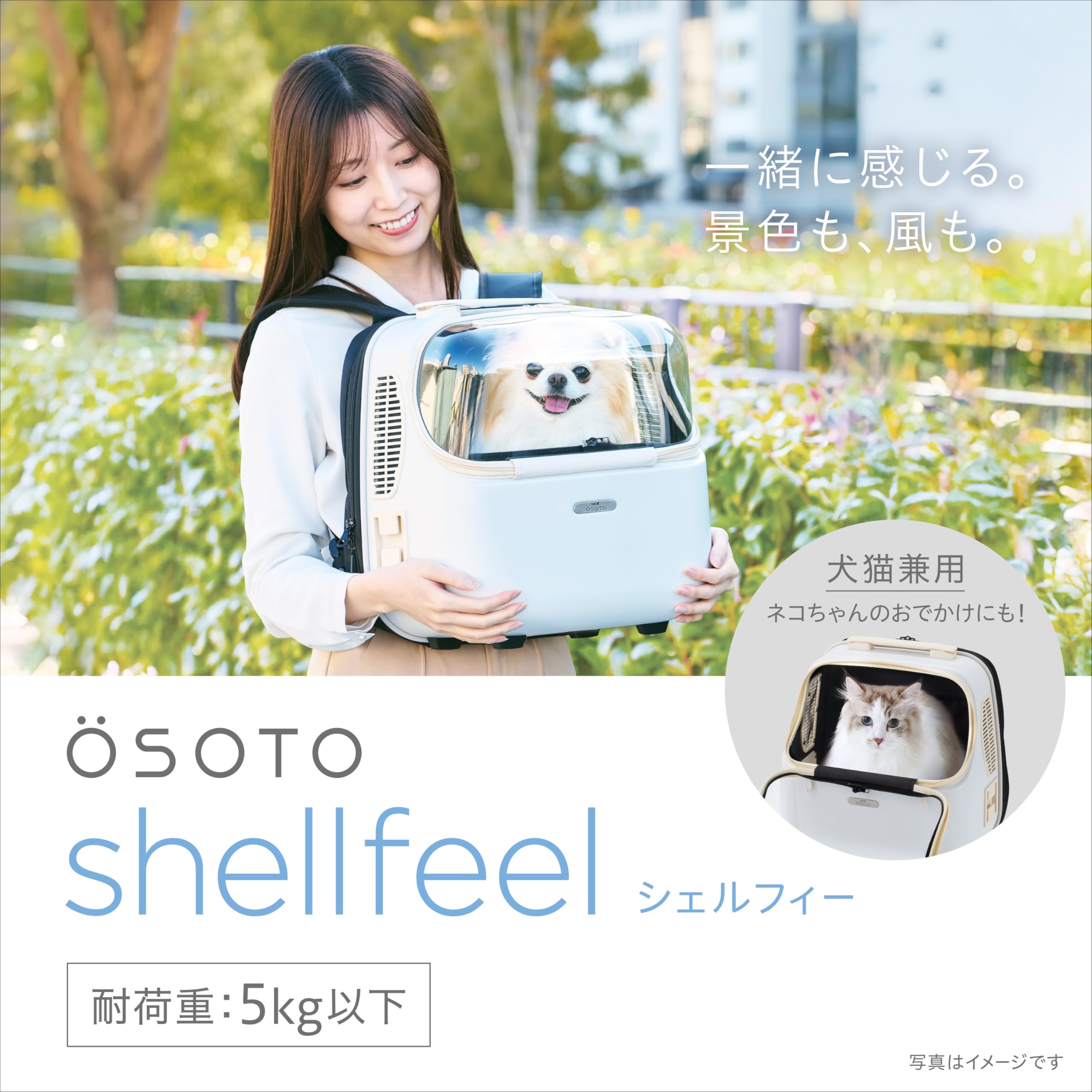 GEX シェルフィー Amazon | ジェックス OSOTO シェルフィー ミルク 軽量 飛び出し防止