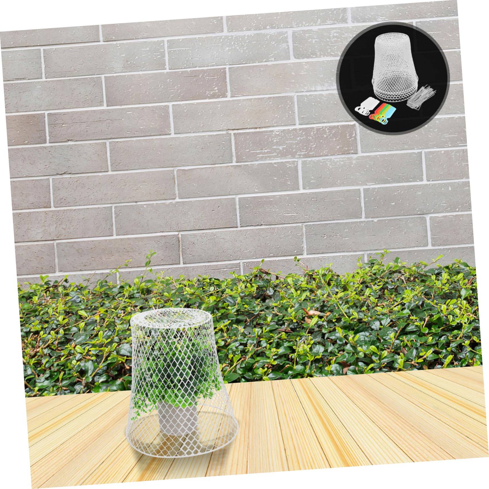 TOYANDONA Cloches Métalliques pour Plantes Et Semis Protections Robustes Animaux pour Jardins Et Filet De Jardin pour Croissance Saine