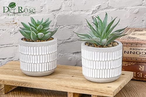 Miniatura 9 de Der Rose Un paquete de 2 plantas suculentas y un juego de 2 plantas suculentas