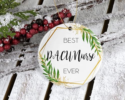 Miniatura 2 de Pacu - Adorno de Navidad para enfermera, regalo para enfermera Pacu, la mejor enfermera Pacu del mundo, la mejor enfermera Pacu impresa en ambos