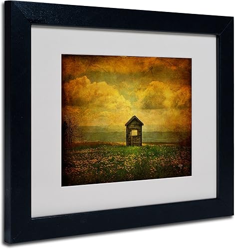 Trademark Fine Art Lois Bryan - Lienzo enmarcado con marco negro, 11 x 14 pulgadas