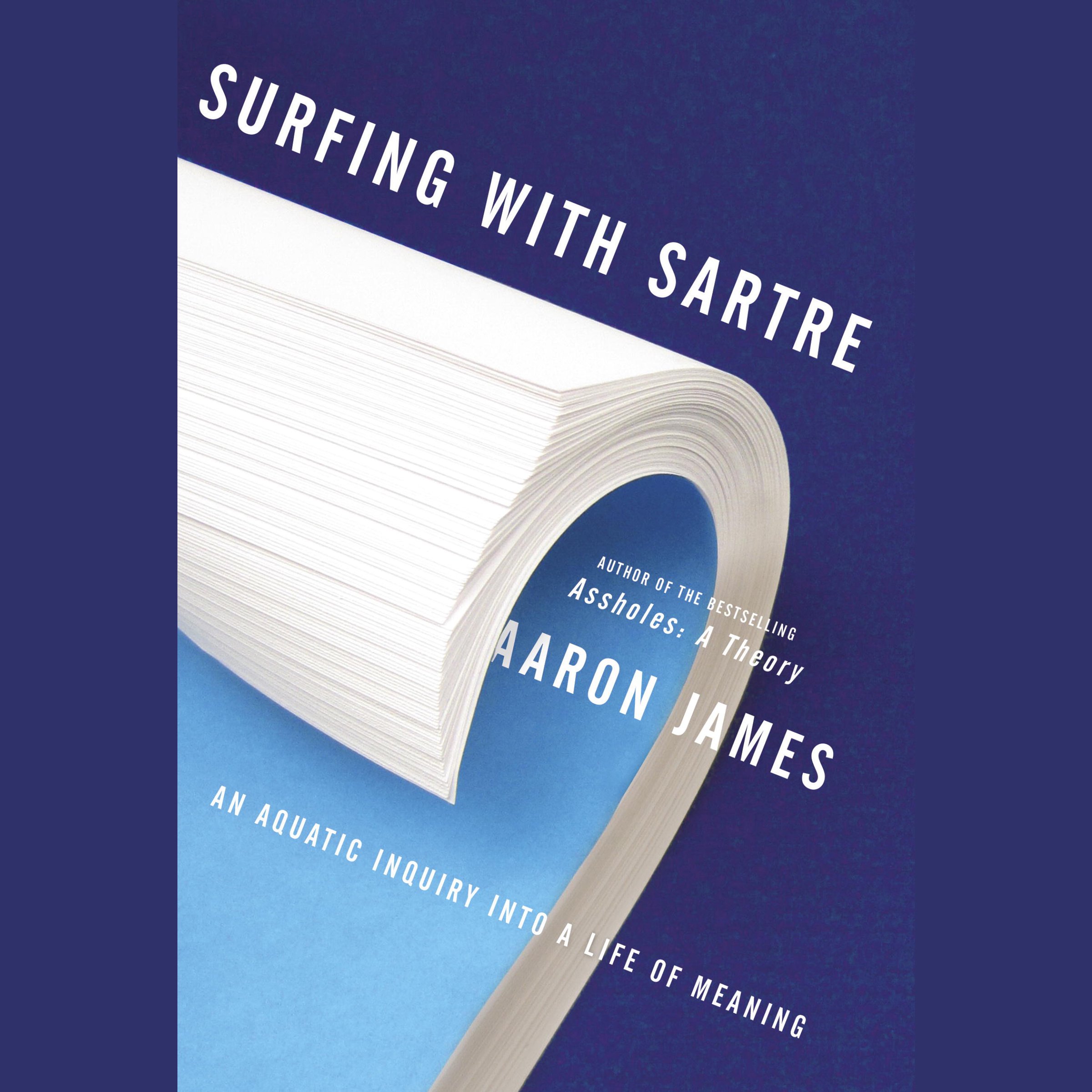 Cover art for Surfing with Sartre