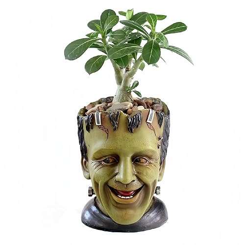 Youfui Funny Planter Head Planter Succulent Pot with Drainage Hole Fairy Garden Resin Cactus Plant Pot Pencil Holder Desk Storage Gift for Women Men(Frankstein) - Frankstain