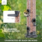 Kingsyard 2 Pack Tube Bird Feeders pour l'extérieur suspendu, Premium en plastique dur Bird Feter avec 6 Ports d'alimentation, étanches aux intempéries & Suspension en acier, Attracting for Wild Birds (Noir)