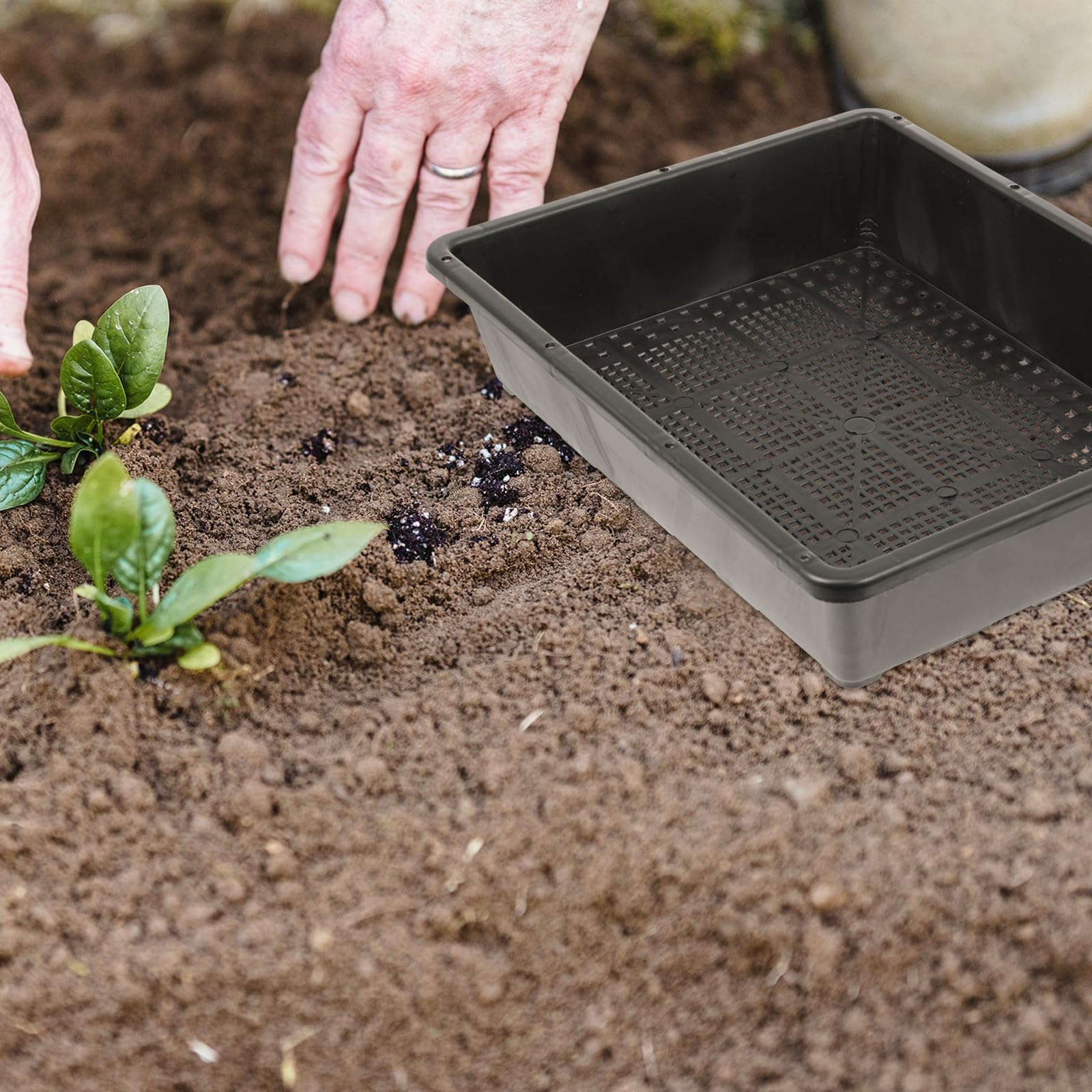 Alipis 5 Sätze Kunststoff Anzuchtboxen für Garten und Gewächshaus
