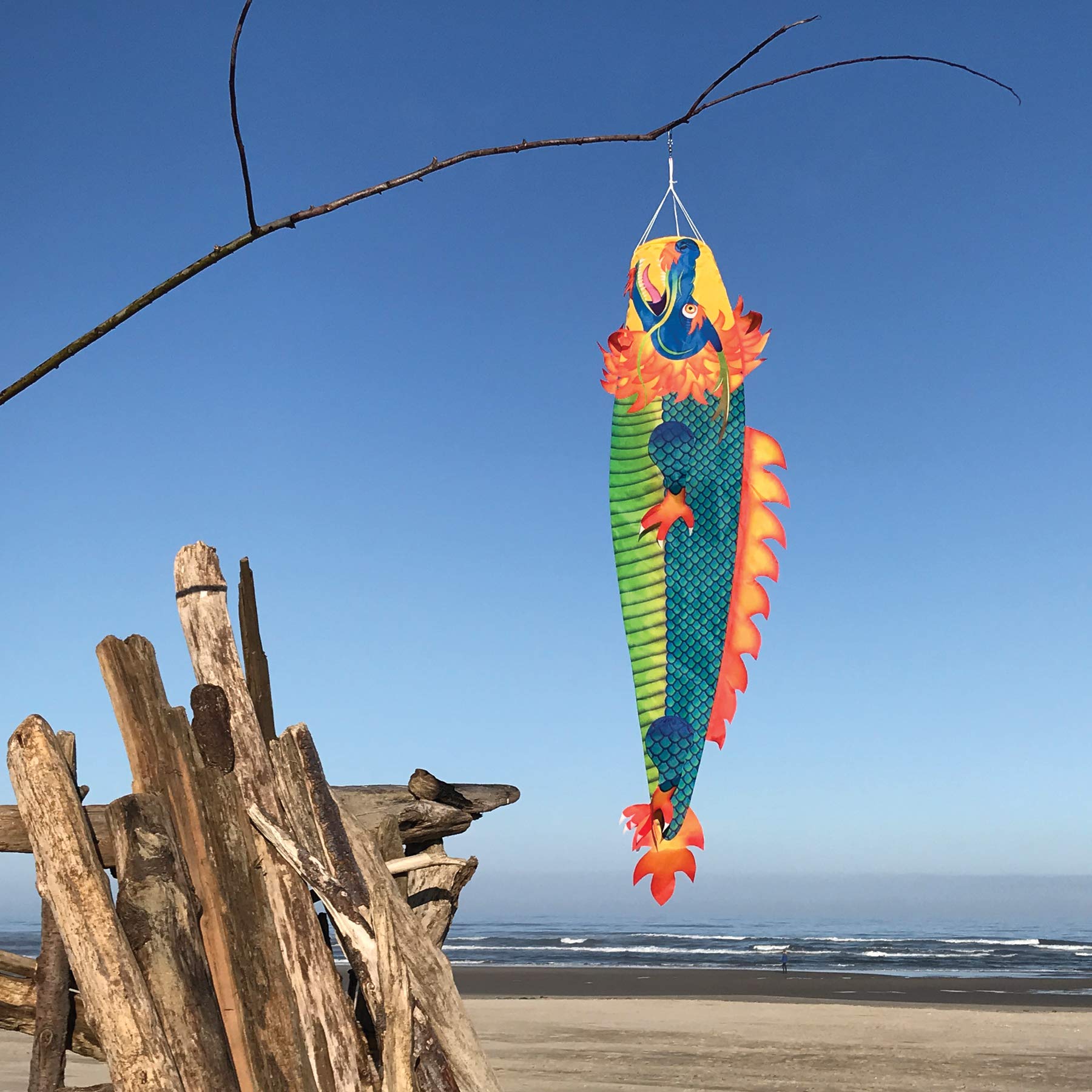 セットアップ✩Dance with Dragon Traditional Dragon Dance Equipment Chinese New Year Folk