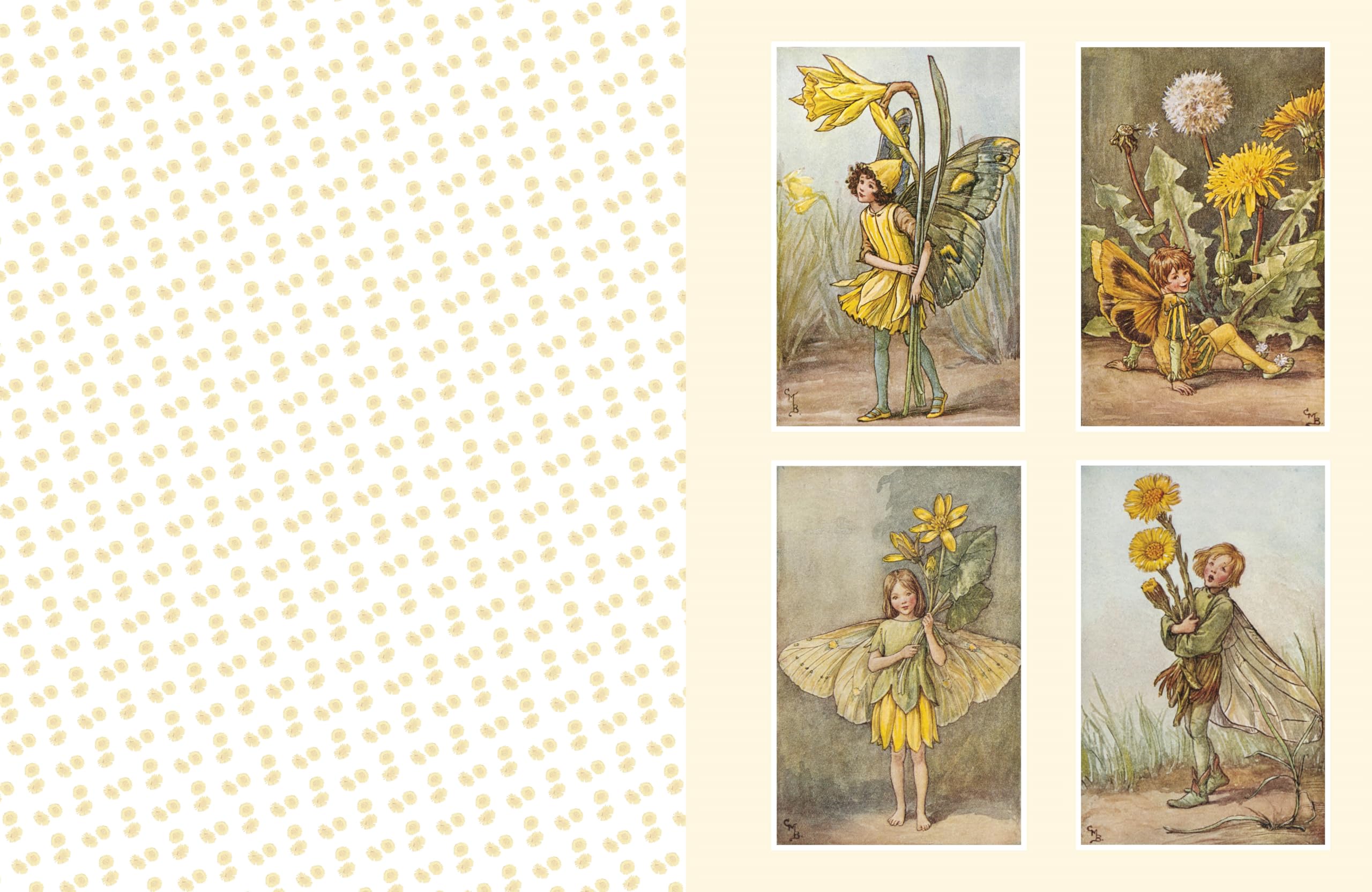 Cut Out and Collage Flower Fairies: Cut Out and Keep Flower Fairies for Arts and Craft