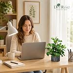 Der Rose 15.7" Artificial Plants for Decor Indoor Money Leaf Fake Plant in Pot for Desk Shelf Office Bedroom Apartment Decor
