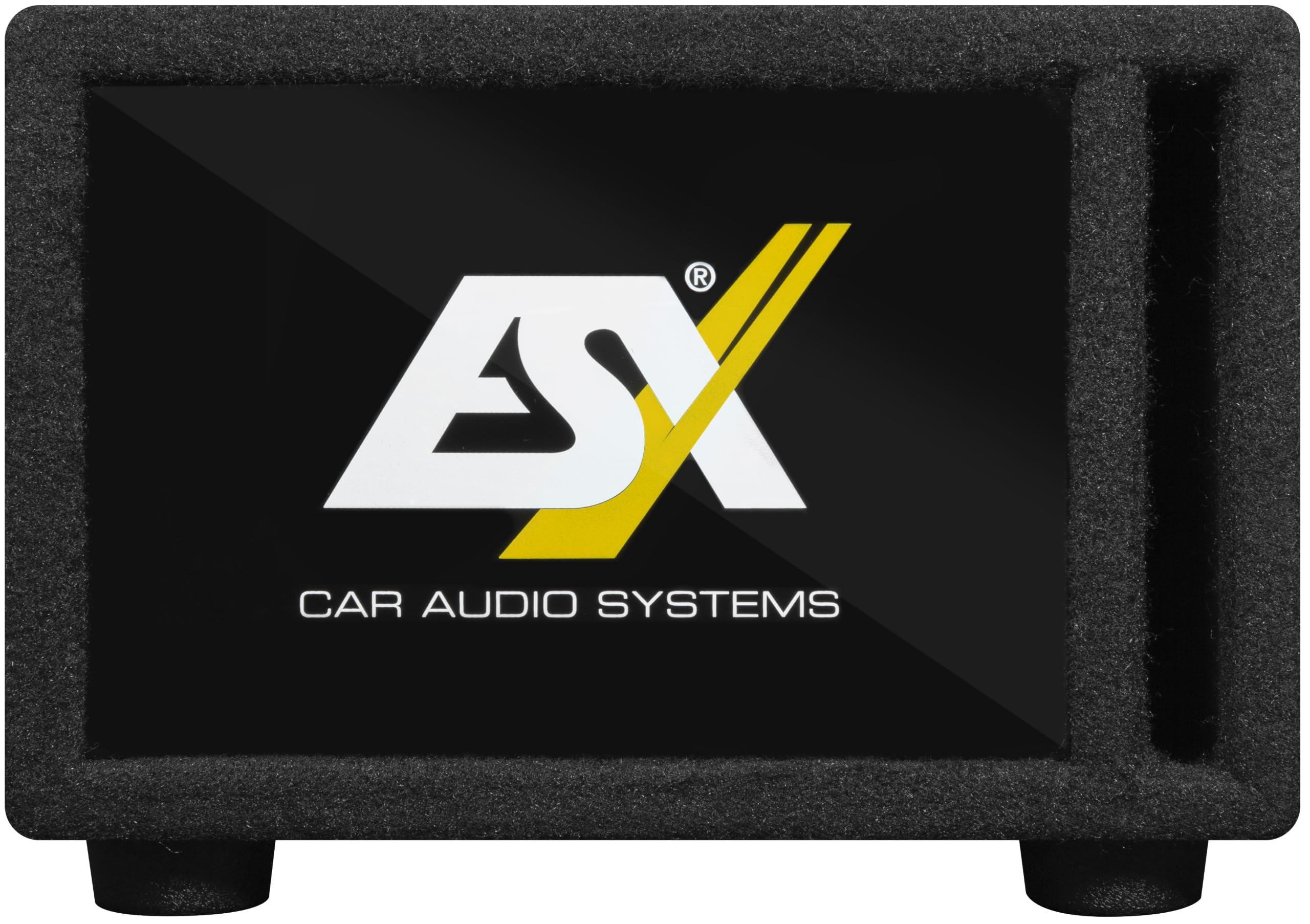 ESX DBX200Qv2-20 cm (8") pasywny subwoofer o mocy maks. 500 W