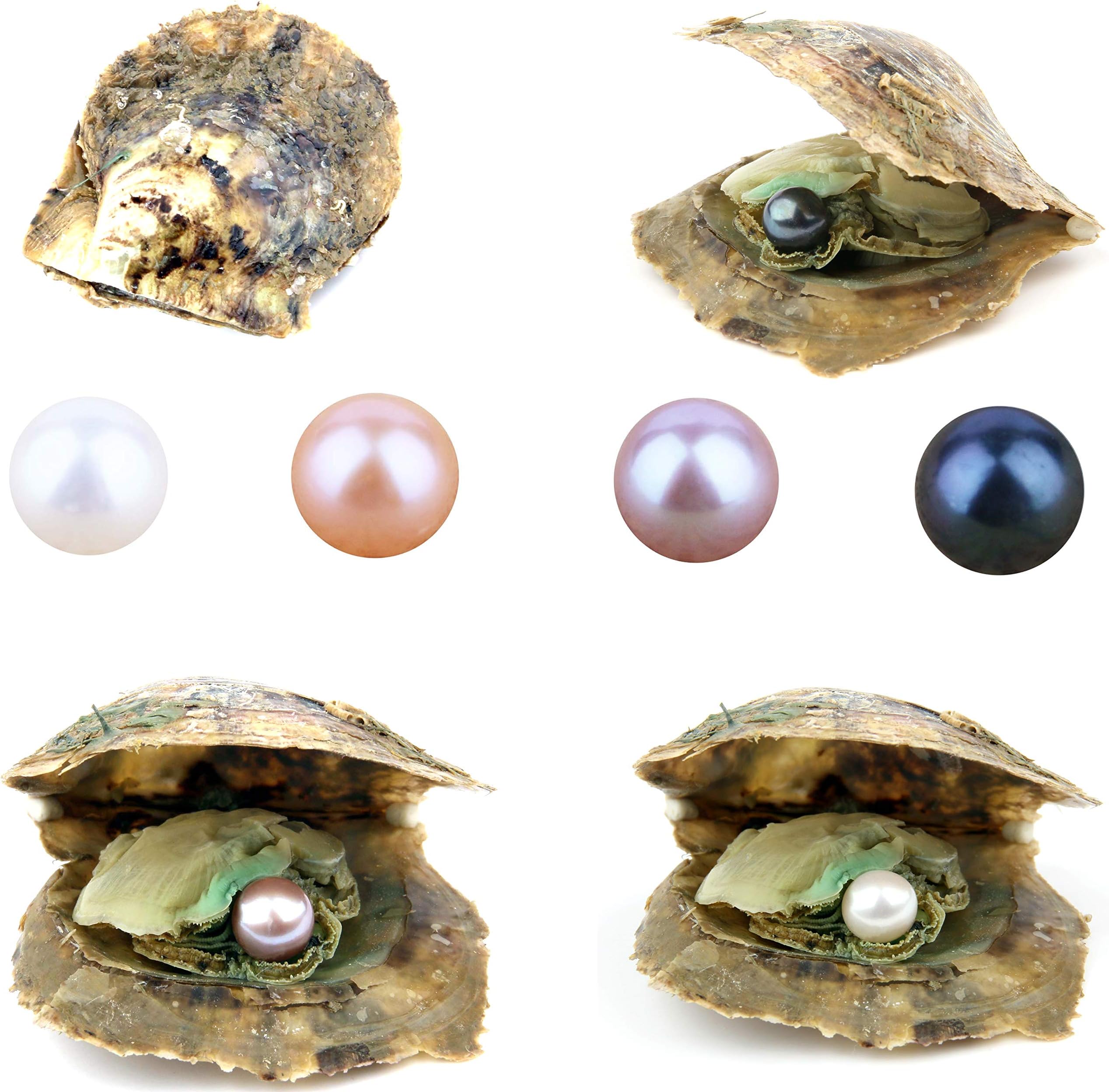 QSLLER 4PCS Saltwater Akoya Cultured Pearl Oyster with Round Pearl (6.5-7.5mm) Inside Jewelry Making or Birthday Gifts 4 Colors