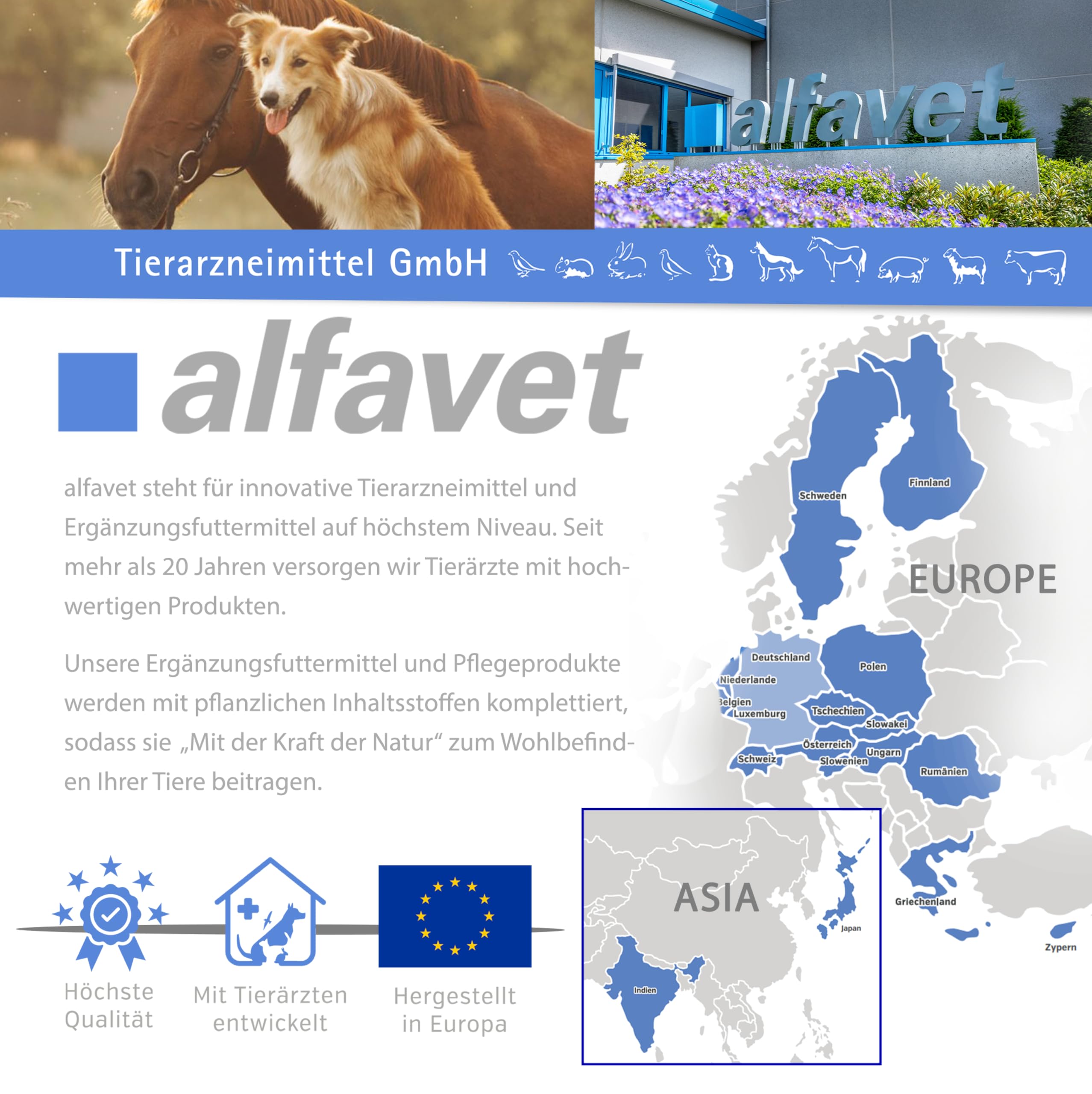 alfavet FeliGum Trojaner 10 x 10 g – Ergänzungsfuttermittel für Katzen & Hunde – Formbare Versteckerlis – Schmackhafte Snacks für stressfreie Medikamentengabe oder zur Belohnung als Leckerli