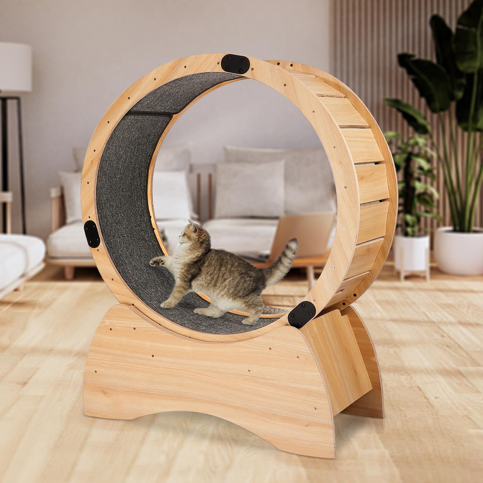 Rueda de Ejercicio de Madera Maciza para Gatos, pérdida de Peso, Ejercicio Diario, Rueda de Actividad física para Correr, Girar, rascar, Roble